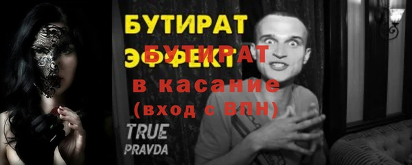 индика Сатка