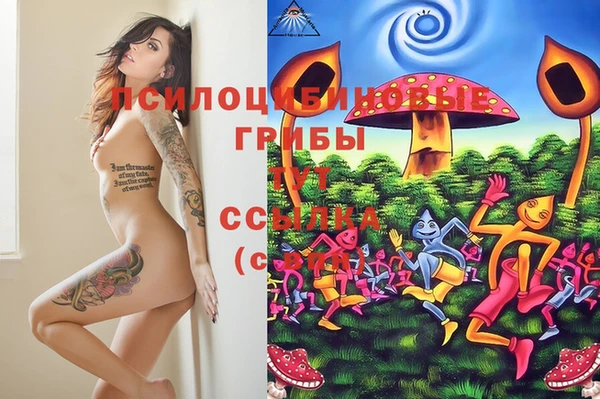 индика Сатка
