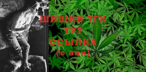 индика Сатка