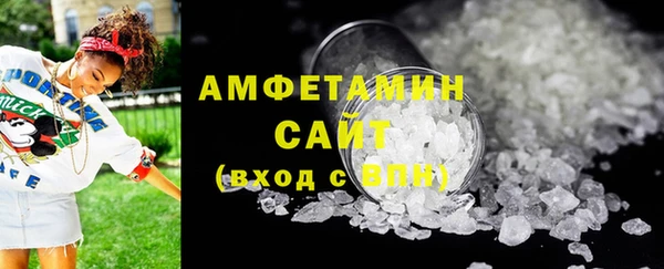 индика Сатка