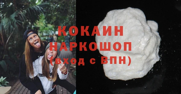 индика Сатка
