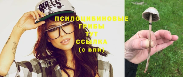гашик Кукмор