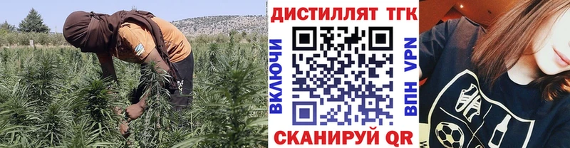 Дистиллят ТГК THC oil  Костомукша 