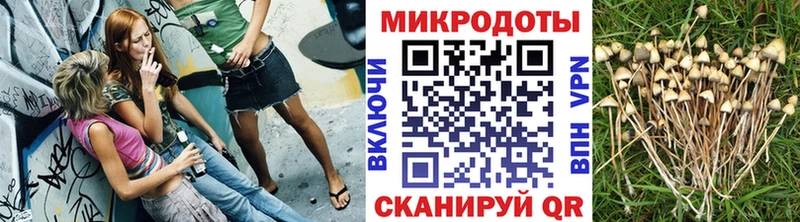 Галлюциногенные грибы мицелий  Костомукша 